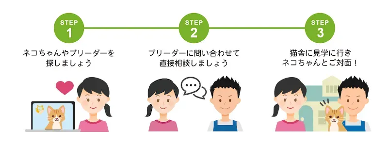 ブリーダー から 猫 を 飼う 条件を徹底解説【失敗しない】
